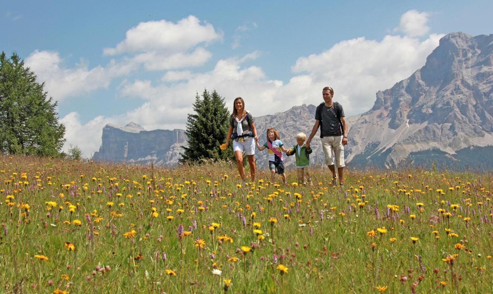 Apartment Ciasa Rosra La Villa (Trentino Alto Adige)